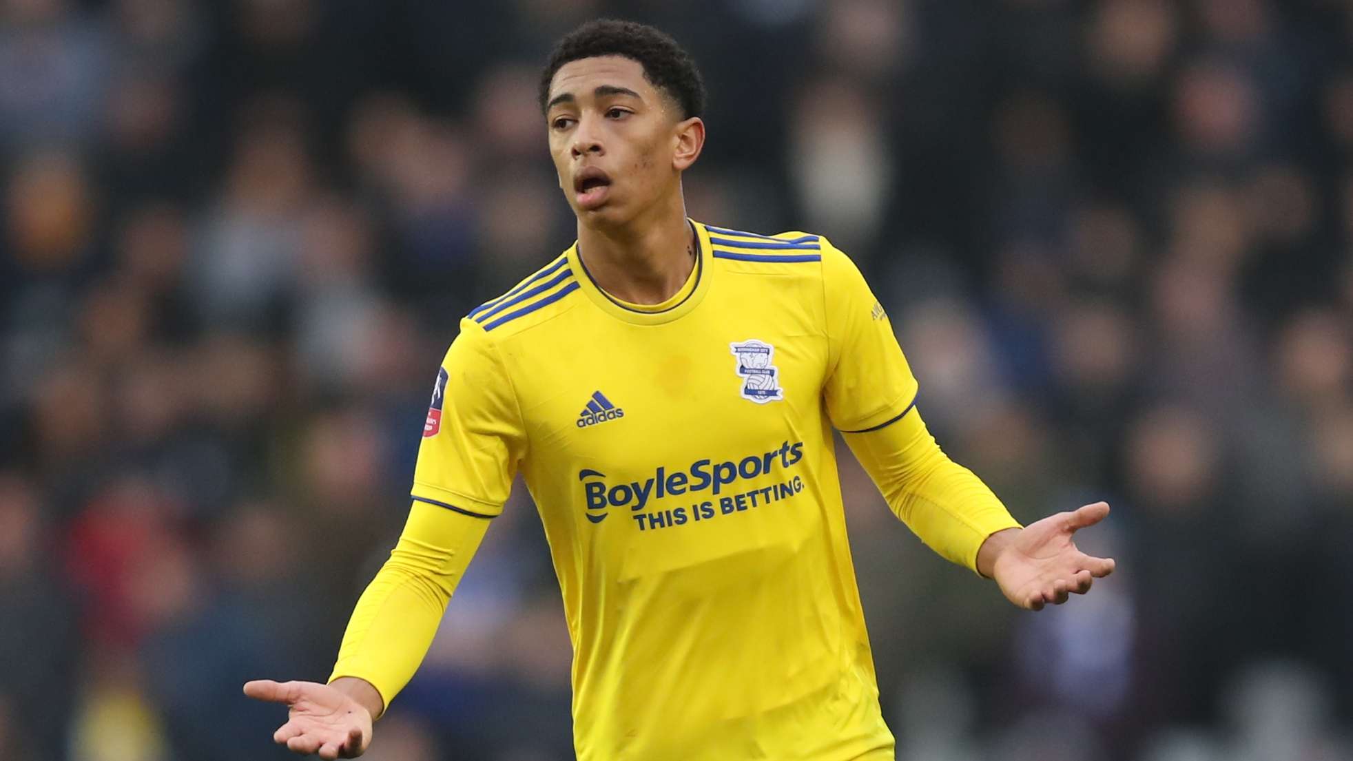 成为了新的 成为了新的