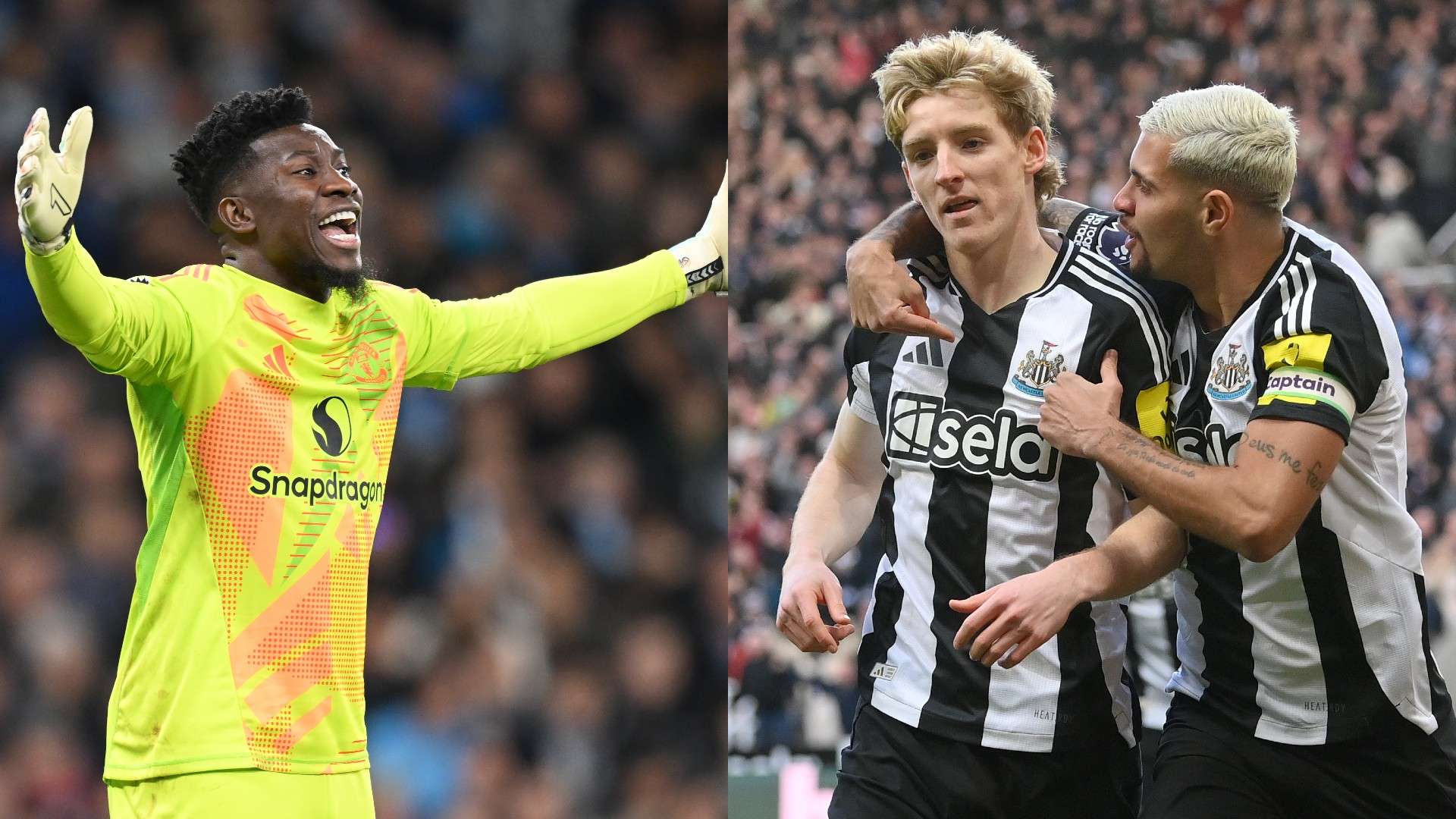 洲豪门效力 洲豪门效力