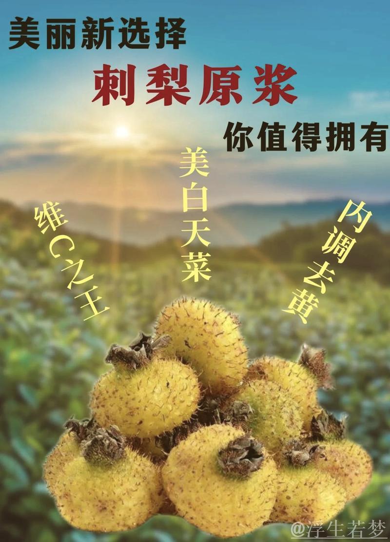 从刺梨故事看科技创新引领高质量发展 从刺梨故事看科技创新引领高质量发展